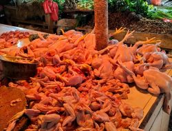 Tahun Baru, Bapokting di Kota Sukabumi Aman, Tapi, Harga Daging dan Telur Ayam Masih Tinggi