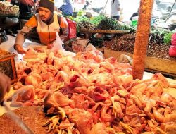 Jelang Tahun Baru,  Daging dan Telur Ayam Negeri Alami Penaikan Harga