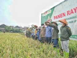 Panen Raya, Momentum Positif Ketahanan Pangan Kota Bandung