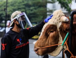 Waspada PMK Jelang Idul Adha, Pemkot Bandung Ajukan Vaksinasi Hewan Kurban