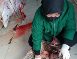 DKPP Kota Bandung Musnahkan Lebih dari 369 Kg Jeroan Sapi dan Domba Kurban