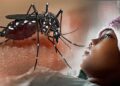 Waspada, Kasus DBD di Kota Sukabumi Kembali Meningkat
