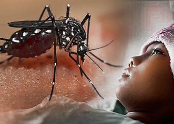 Waspada, Kasus DBD di Kota Sukabumi Kembali Meningkat