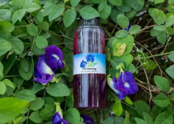 Tetenong Produk Lokal Khas Kampung Wisata Kelurahan Binong Kota Bandung