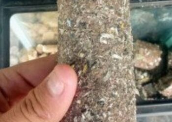 Komunitas Tionghoa Kota Bandung Gagas Mesin Pengolah Sampah Nawasena