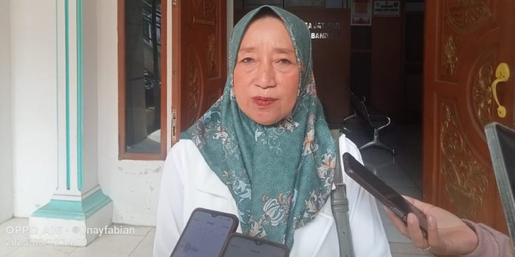 DPRD Kabupaten Bandung, Hj Titik Soroti Jalan hingga Irigasi di Dapil I