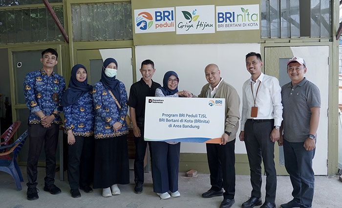 BRINita di Griya Hijau HidroponikTaman Tongkeng: Program Unggulan CSR BRI dalam Mendukung Agenda Pembangunan Berkelanjutan