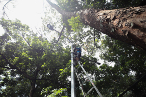 Dishub Kota Bandung Bergerak Cepat Selesaikan Masalah PJU di Taman Lalulintas