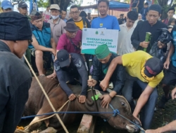 BAZNAS Jabar Hadirkan Kebahagiaan Iduladha bagi Masyarakat Melalui Distribusi Kurban