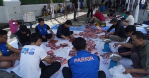 Sambut Iduladha 1447 H, BRI Region 9 Bandung Distribusikan Ratusan Hewan Kurban