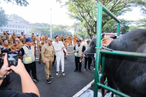 Pemkot Bandung Terjunkan 184 Petugas, Pastikan Hewan Kurban Sehat dan Layak Disembelih