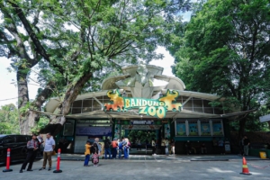 Farhan Pastikan Bandung Zoo Bangkit, Konsep Edukasi dan Konservasi Jadi Prioritas