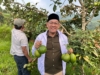 BAZNAS Jabar Dorong Petani Batulawang Mandiri, Panen Perdana Alpukat Jadi Titik Balik