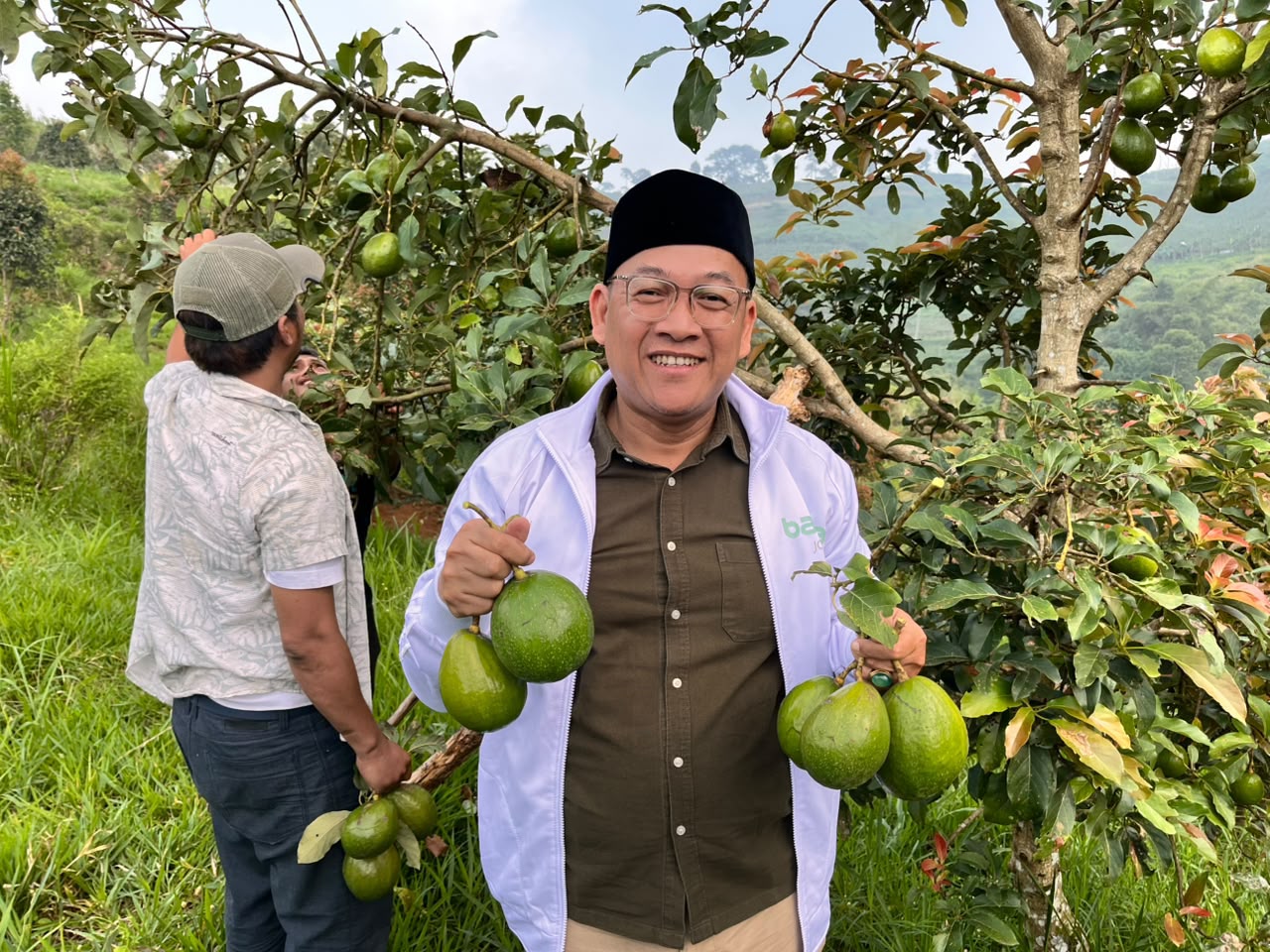 BAZNAS Jabar Dorong Petani Batulawang Mandiri, Panen Perdana Alpukat Jadi Titik Balik