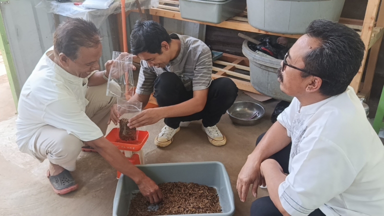 Sampah Organik di Padasuka Diolah Menjadi Maggot Bernilai Ekonomi