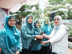 TP-PKK Kota Sukabumi Tanam Cabai dan Bawang Serentak, Perkuat Ketahanan Pangan dan Tekan Inflasi