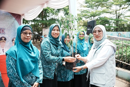 TP-PKK Kota Sukabumi Tanam Cabai dan Bawang Serentak, Perkuat Ketahanan Pangan dan Tekan Inflasi